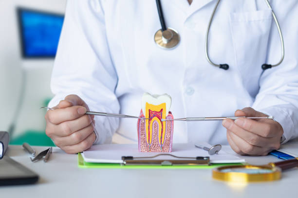 Best Broken Tooth Emergency  in Jacksonville, NC